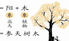 易经风水365 学完此文的十个字内容,八字命局算命就可以轻松解读出来了