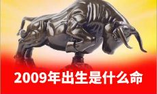 2009年出生是什么命霹雳火命
