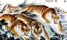 2022年属虎本命年运气好不好,虎年属虎的是什么命