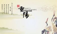 2019年重阳节嫁娶摆酒席好吗,重阳节为什么要吃羊肉面?