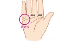 手相怎么看你有几段婚姻