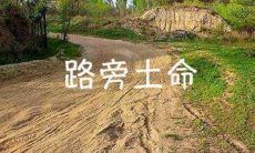 路旁土命的人命运如何