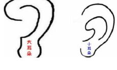 通过耳朵形状判断运势如何
