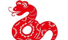 属蛇的生什么属相的宝宝好 不管什么属相的宝宝都是好宝宝