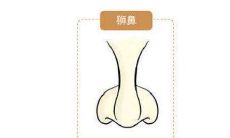 狮子鼻的女人面相分析