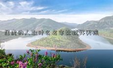 属虎的人取什么名字比较好男孩