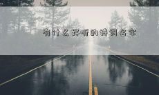 有什么好听的诗词名字
