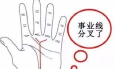 事业线手相分析(二)