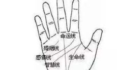 命运线手相分析