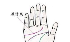 男人左手感情线手相分析