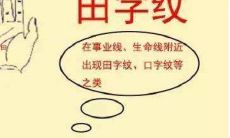 手掌有田字纹的手相分析