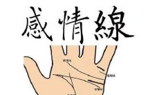 感情线太长会不会对财运有什么影响
