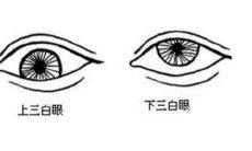 必定会出轨的男人面相分析