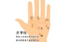 木星丘有井字纹的手相分析