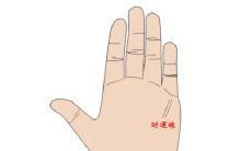 财运线是不是越多财运越多?