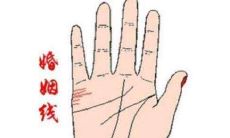 容易离婚的女人手相分析