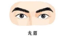 龙眉的人面相分析