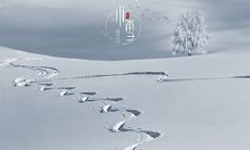 小雪节气出生好吗?哪种命是寒命人