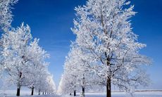 2019年小雪的具体时辰是多少,关于小雪节气谚语解析!
