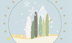 2019年小雪不是出殡吉日吗,2019年11月22日小雪卦象如何?