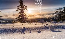 大雪这一天怀孕是好是坏?下雪天生孩子怎么样