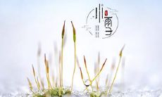 小雪出生的牛宝宝命运如何?小雪当日出生的女孩取名