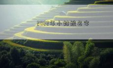 2022年小姑娘名字