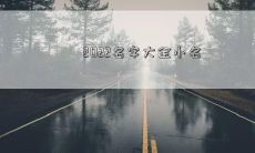 2022名字大全小名