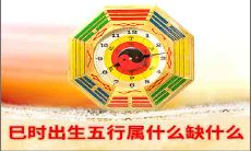 巳时出生五行属什么缺什么