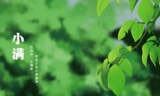 2020年小满是哪天还有几天到来,小满见三新的含义?