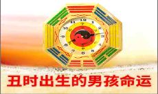 丑时出生的男孩命好不好呢