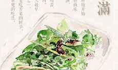 2020年四月廿八小满祈福好不好,小满节气的由来解析