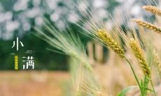 2020年5月20日小满哪个时辰时间好 时辰吉凶分析!