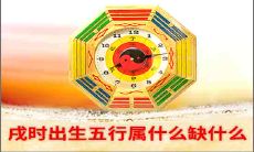 戌时出生五行属什么缺什么