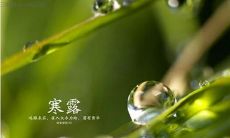 2019年10月8日寒露黄历不能做什么,寒露气温分布差异大吗?