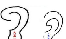 耳朵大面相有福气吗?