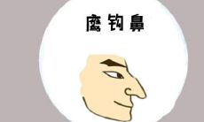 鹰钩鼻的人面相解析