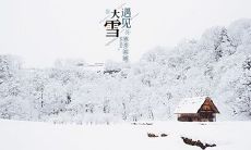大雪出生的属虎男孩一生运势详解,戊时出生的虎