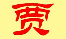 贾姓有涵养的女孩子名字