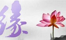 八字正缘桃花查询