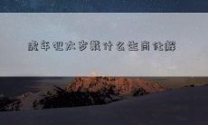 虎年犯太岁戴什么生肖化解