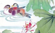 属鸡2022年生虎宝宝好吗 几月生最好