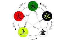 五行属木婚配表分析