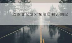 起名字公司大全免费没人用过