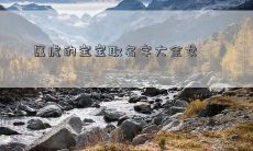 属虎的宝宝取名字大全女