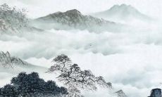 属虎2023年的运程