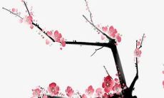 好听的黑暗系名字