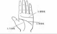 男生断掌右手代表什么意思 男生断掌左手代表什么意思