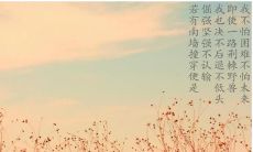 2020年农历十二日适合鼠宝宝出生吗,命运状况如何?