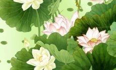 好听的淘宝收件人名字